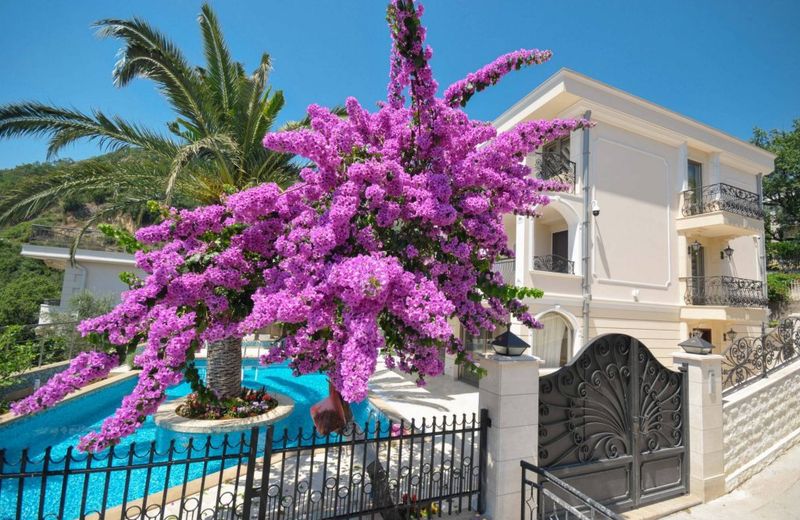 Villa St.George