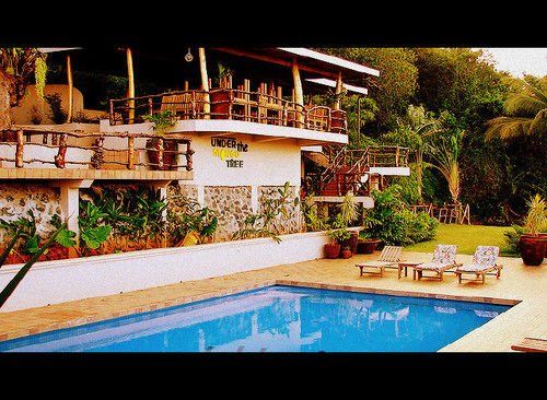 Outdoor Pictures 24