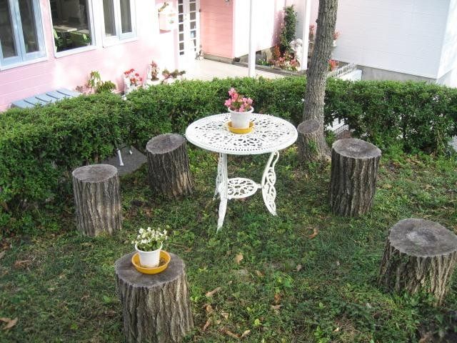Outdoor Pictures 9
