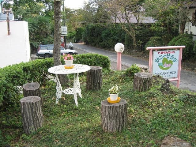 Outdoor Pictures 10