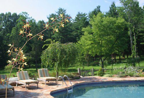 Outdoor Pictures 18