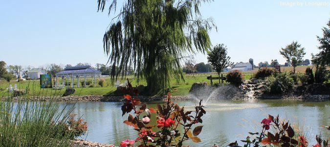 Outdoor Pictures 21