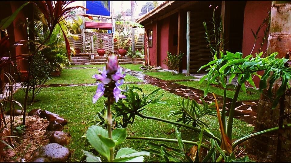 Outdoor Pictures 16