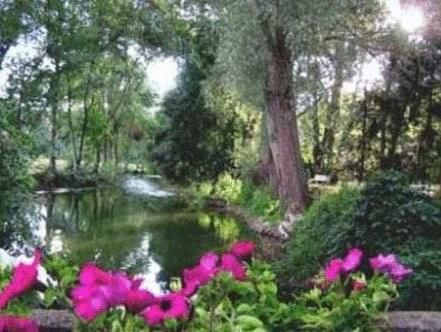 Outdoor Pictures 22