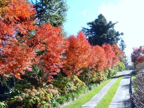 Outdoor Pictures 17