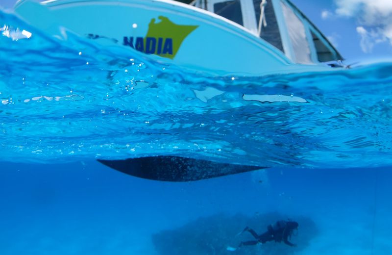 GUESTHOUSE & DIVING  SEACORO