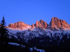 Outdoor Pictures 15