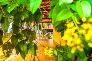 Outdoor Pictures 20