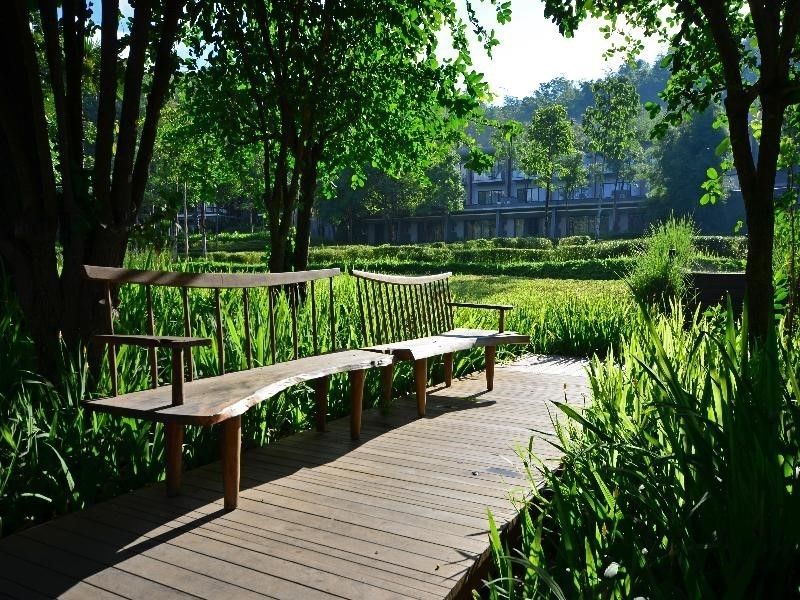 Outdoor Pictures 20