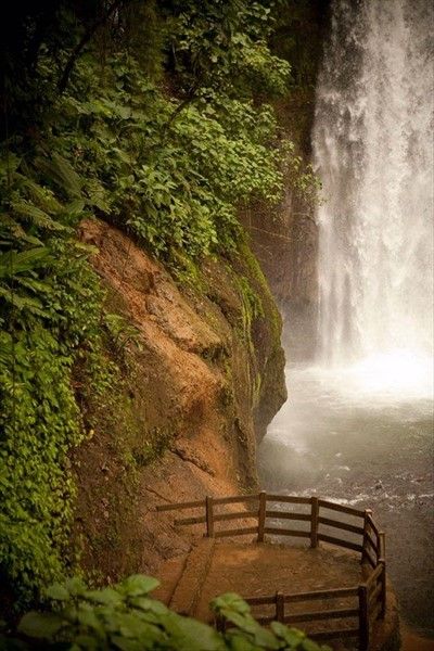 Outdoor Pictures 21