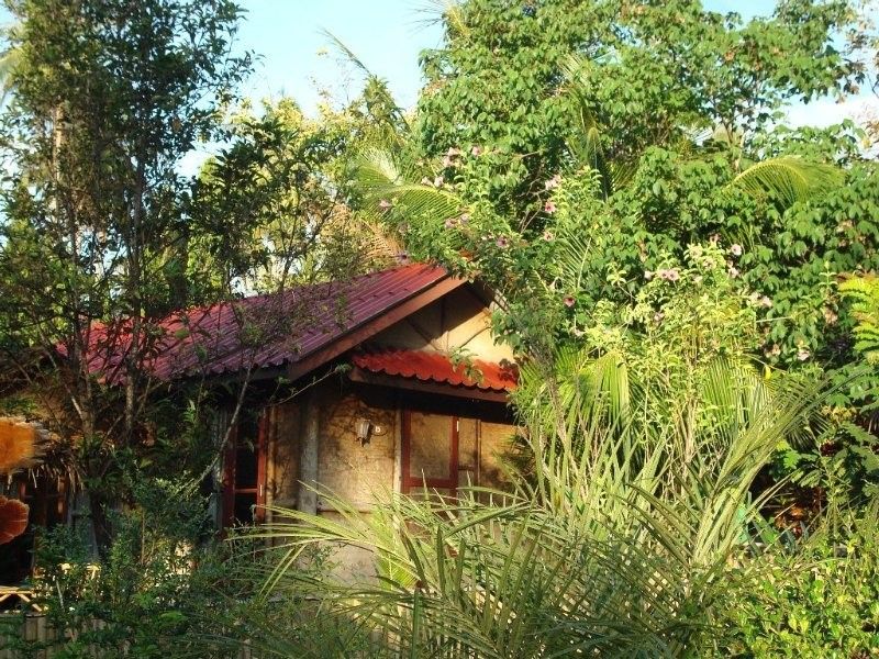 Outdoor Pictures 1