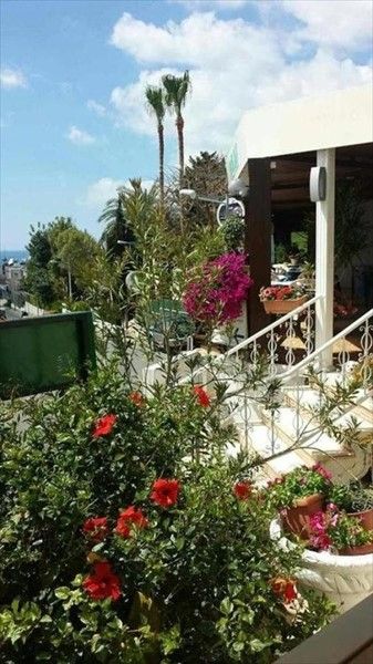 Outdoor Pictures 21