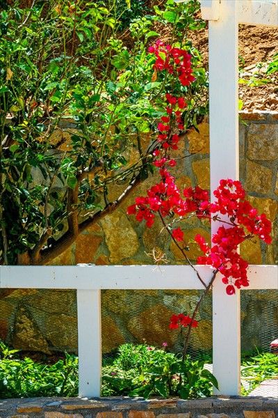 Outdoor Pictures 17