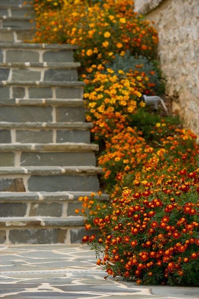 Outdoor Pictures 20