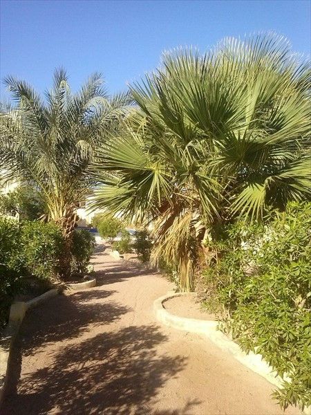 Outdoor Pictures 10