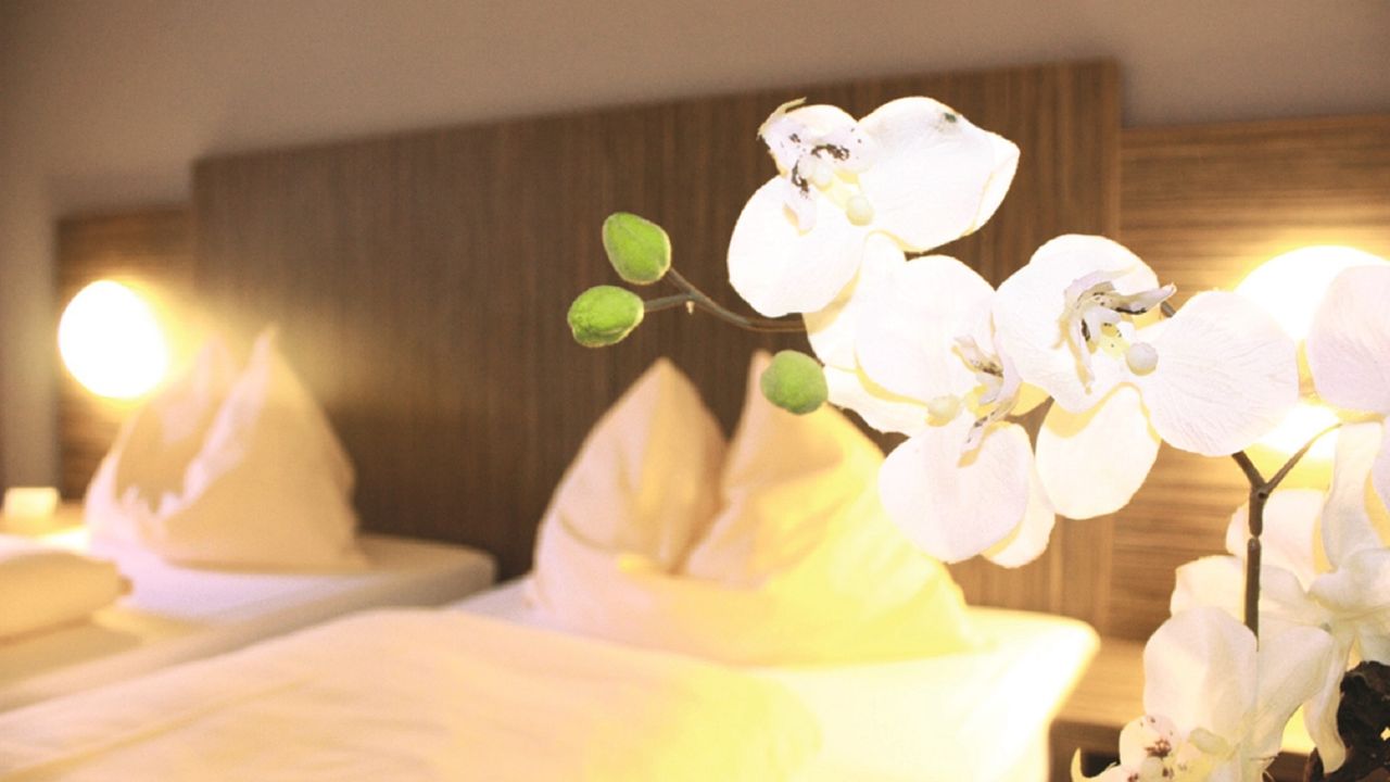 Centro Hotel Alzey