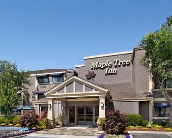 Maple Tree Inn