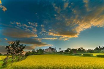 Outdoor Pictures 23