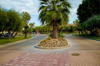 Outdoor Pictures 22