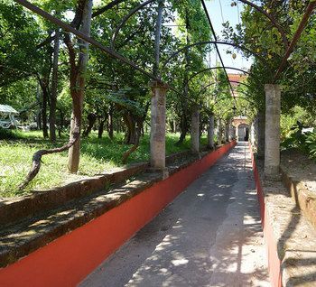 Outdoor Pictures 21