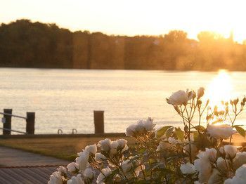 Outdoor Pictures 20