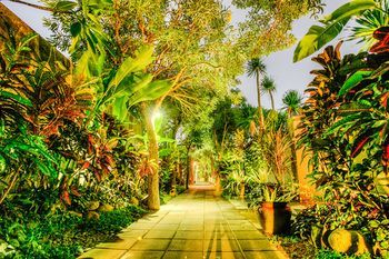Outdoor Pictures 21