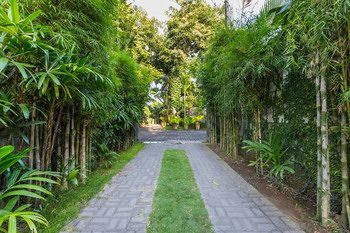 Outdoor Pictures 23