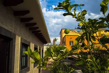 Outdoor Pictures 22