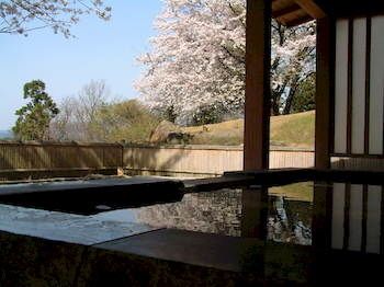 Outdoor Pictures 21