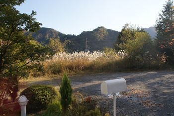 Outdoor Pictures 20
