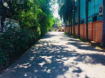 Outdoor Pictures 23