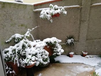 Outdoor Pictures 22