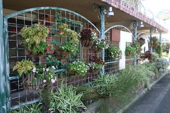 Outdoor Pictures 24
