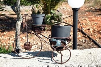 Outdoor Pictures 21