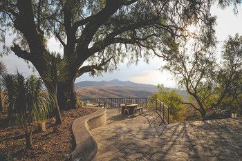 Outdoor Pictures 21