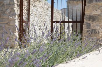 Outdoor Pictures 24