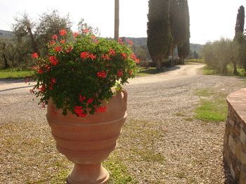 Outdoor Pictures 23