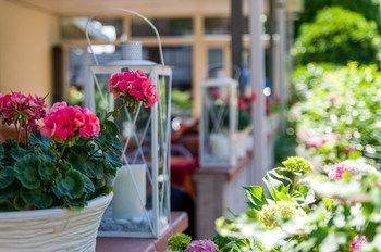 Outdoor Pictures 14