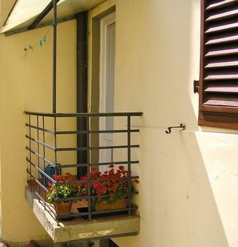 Outdoor Pictures 14