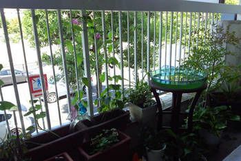 Outdoor Pictures 10