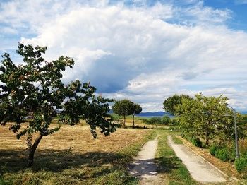 Outdoor Pictures 15