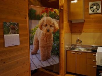 Outdoor Pictures 9