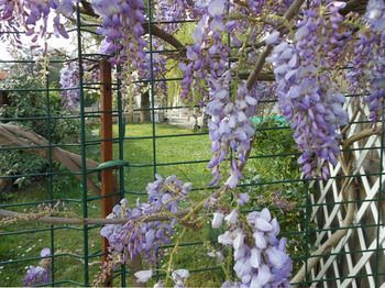 Outdoor Pictures 23
