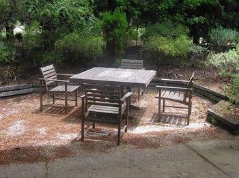 Outdoor Pictures 10