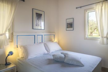 Tenuta Olive Alive