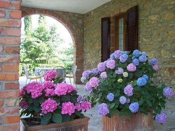 Outdoor Pictures 14
