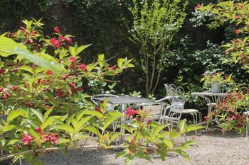 Outdoor Pictures 20