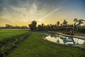 Outdoor Pictures 15