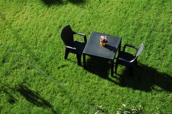 Outdoor Pictures 21