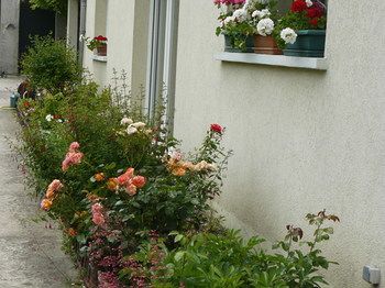 Outdoor Pictures 18
